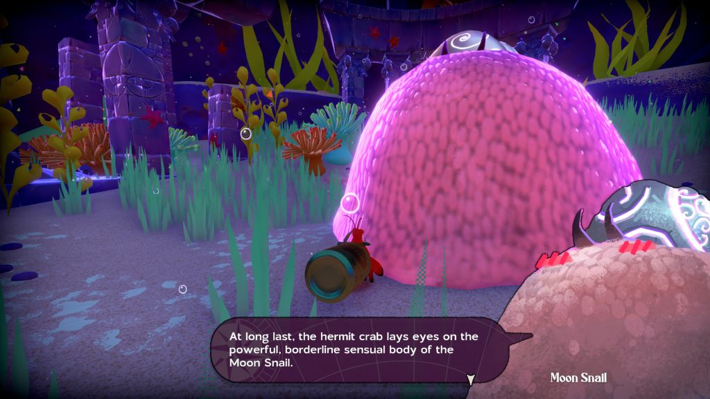 The glorious and incredibly attractive Moon Snail